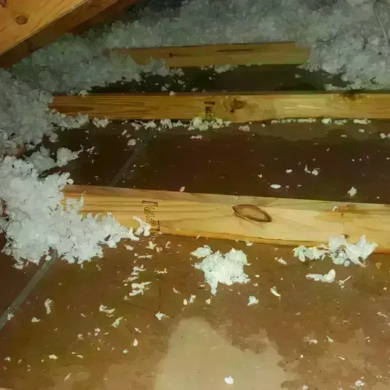 Attic Water Damage in Yorkshire, VA