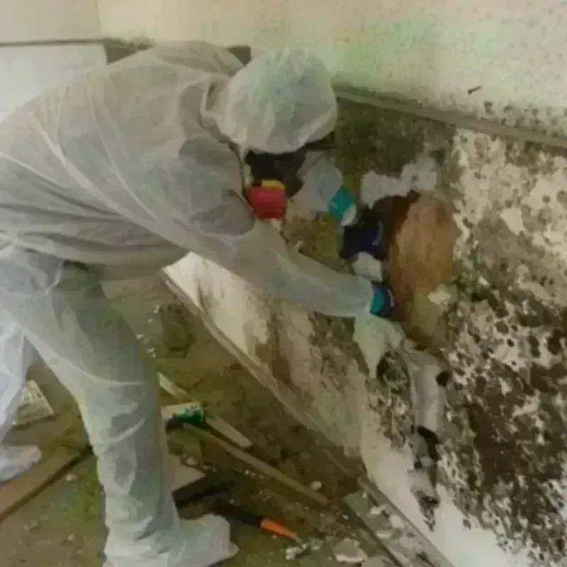 Mold Remediation and Removal in Yorkshire, VA