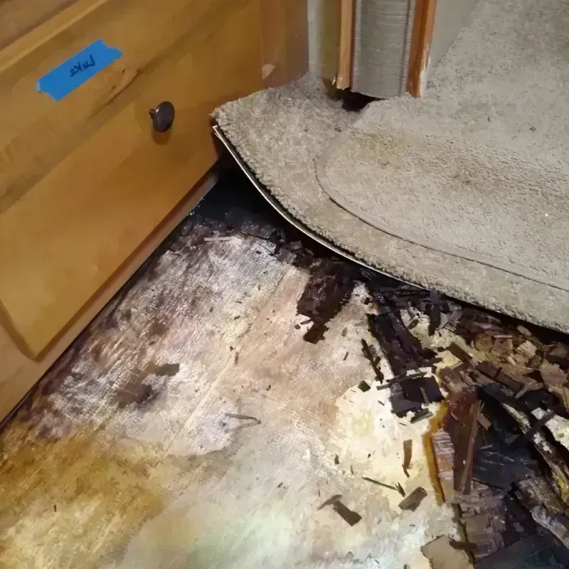 Wood Floor Water Damage in Yorkshire, VA